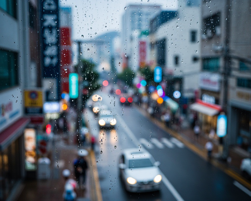 Rainy Seoul Street